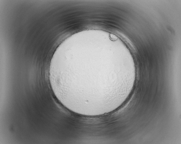 X0000116101241201001040945