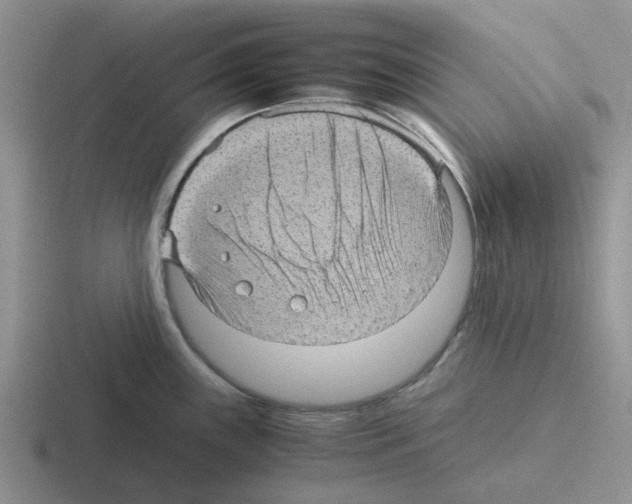 X0000116101243201001040945