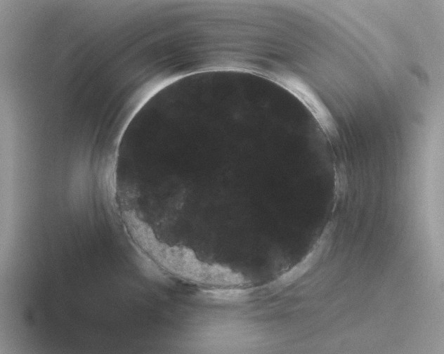 X0000116101244201001040945