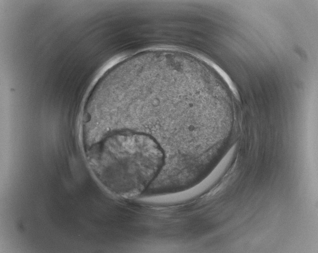 X0000116101245201001040945