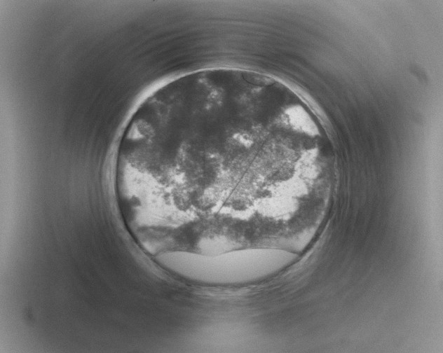 X0000116101246201001040945