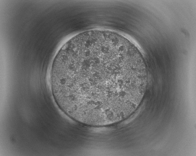 X0000116101247201001040946