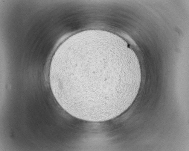 X0000116101248201001040946