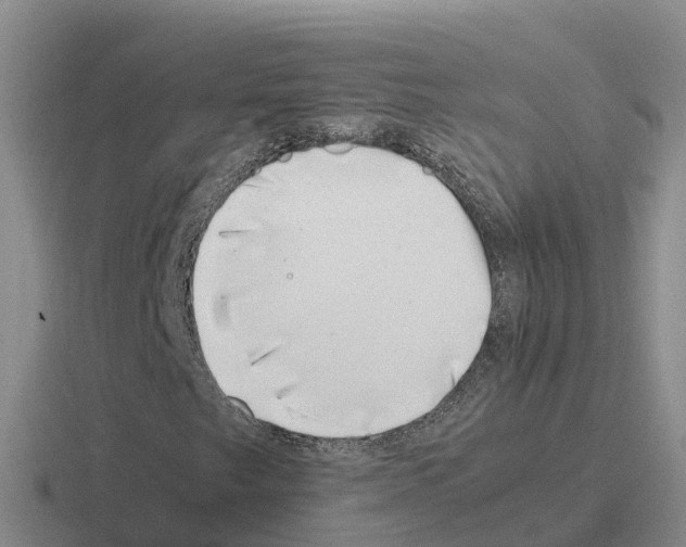 X0000116101249201001040945