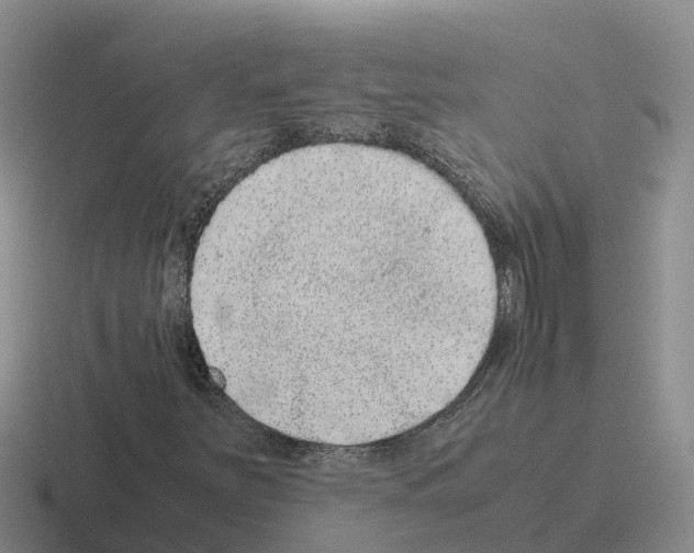 X0000116101251201001040945