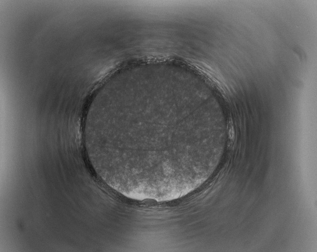 X0000116101252201001040945