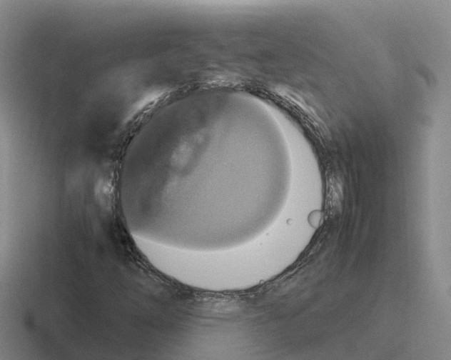 X0000116101254201001040945