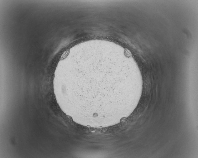 X0000116101255201001040945