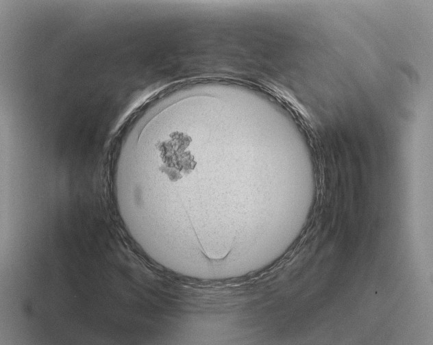 X0000116101256201001040945