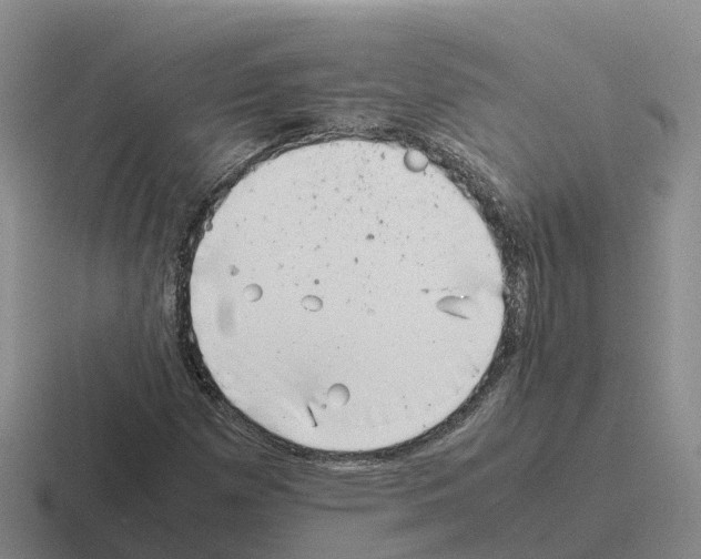 X0000116101257201001040945