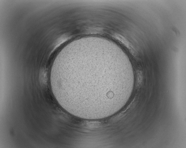 X0000116101258201001040945