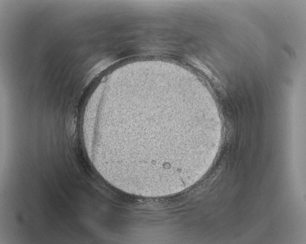 X0000116101259201001040945