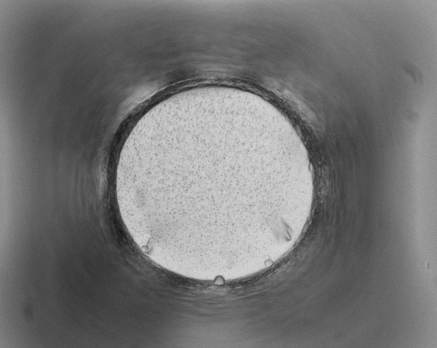 X0000116101261201001040945