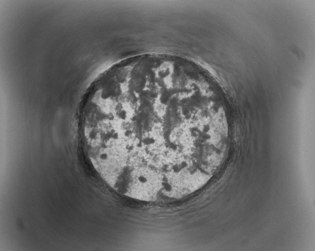 X0000116101263201001040945