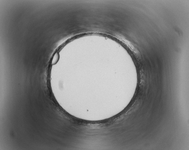 X0000116101264201001040945