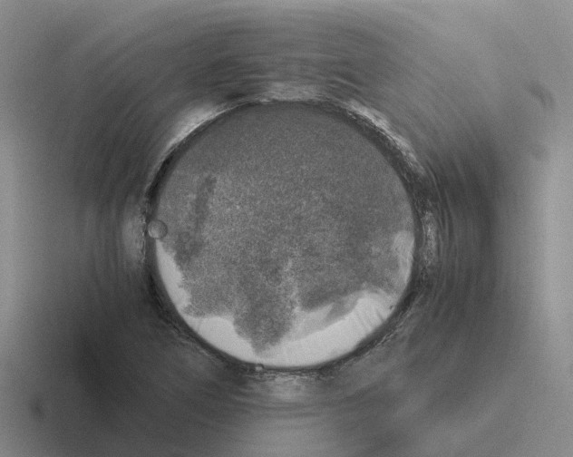 X0000116101266201001040945