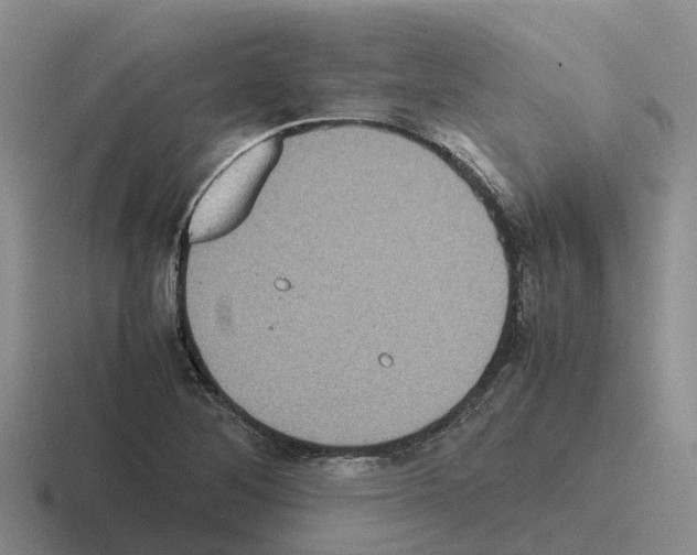 X0000116101268201001040945