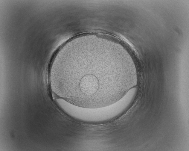 X0000116101269201001040945