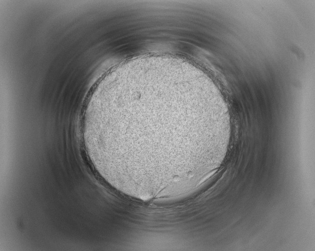 X0000116101274201001040945