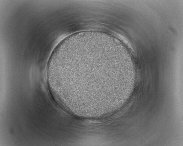 X0000116101275201001040945