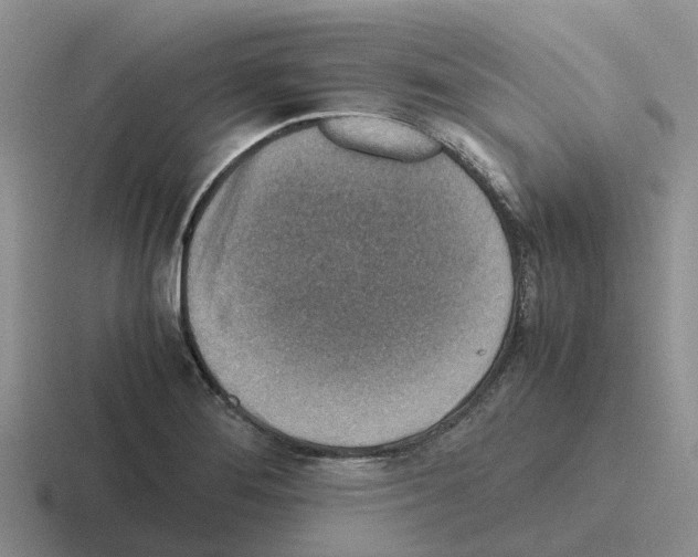 X0000116101276201001040945