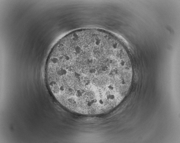 X0000116101279201001040945