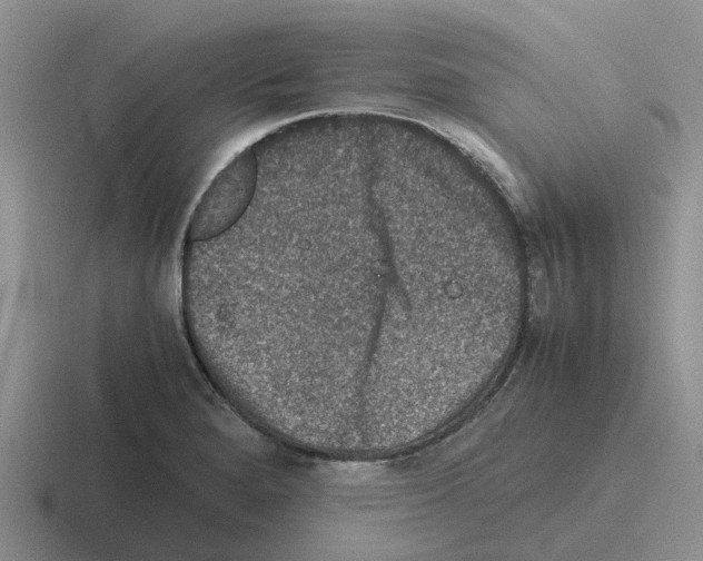 X0000116101280201001040945