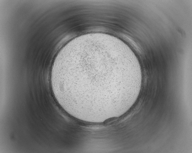 X0000116101282201001040945