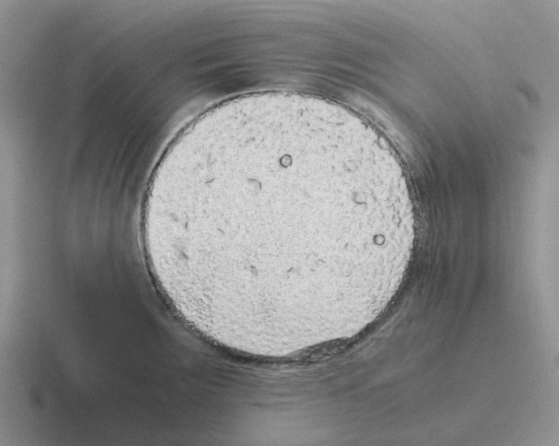 X0000116101283201001040944