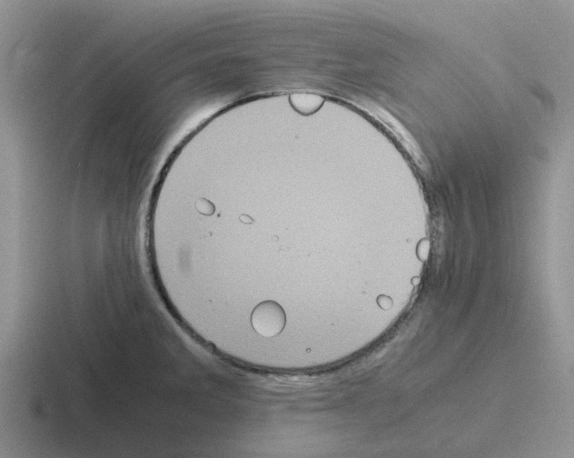 X0000116101285201001040944