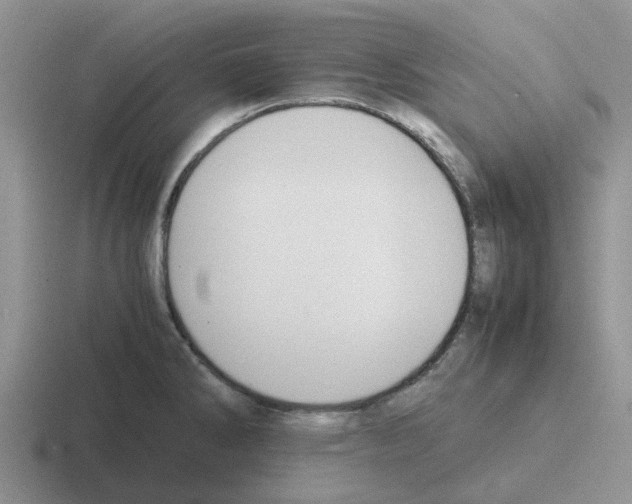 X0000116101286201001040944