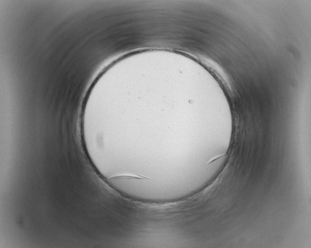 X0000116101288201001040944