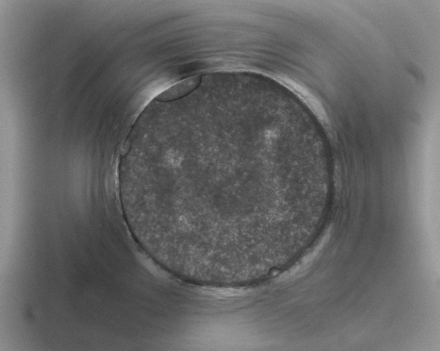 X0000116101289201001040944