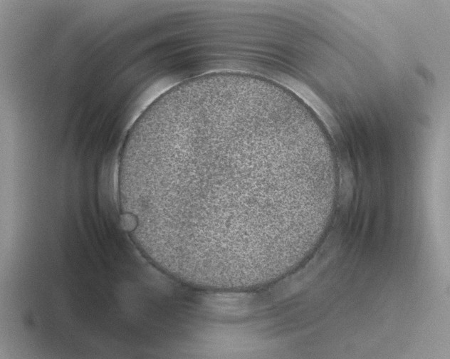 X0000116101290201001040944