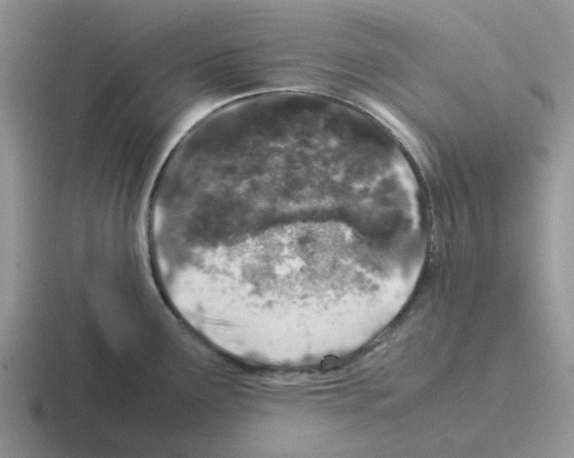 X0000116101291201001040944