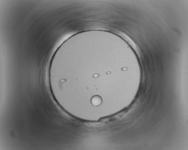 X0000116101293201001040944