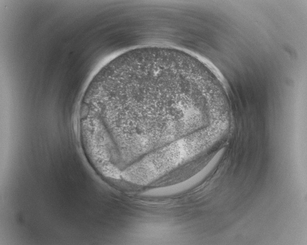 X0000116101295201001040944