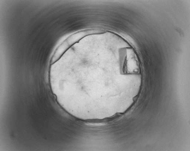 X0000116101296201001040944