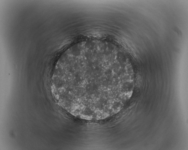 X0000116101297201001040944