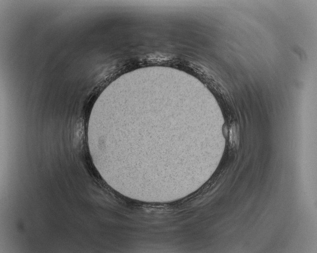 X0000116101299201001040944