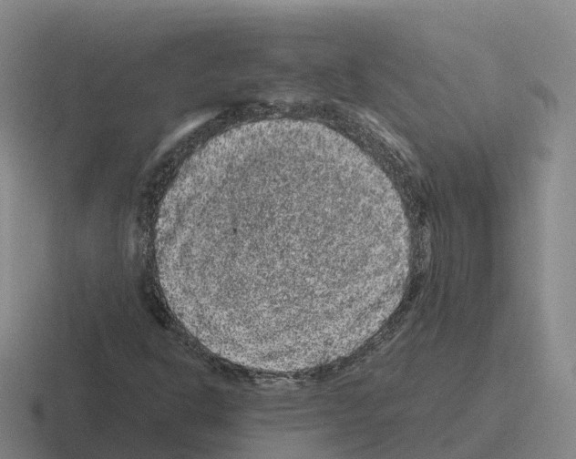 X0000116101302201001040944