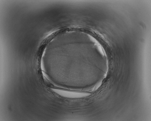 X0000116101303201001040944