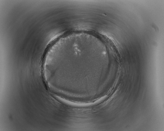 X0000116101306201001040944