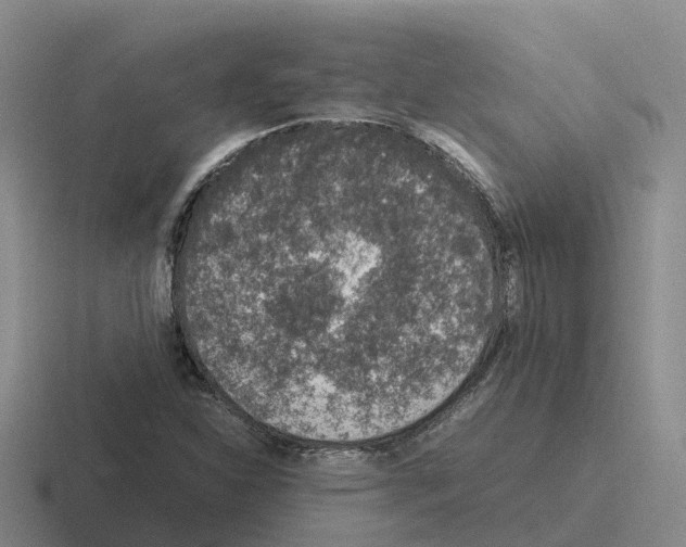 X0000116101310201001040944