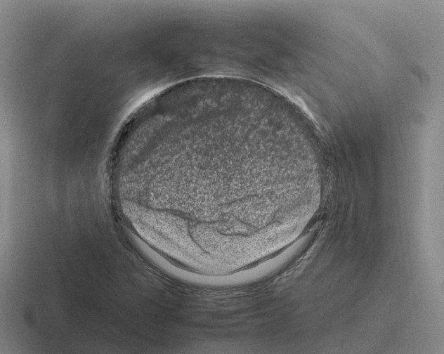 X0000116101311201001040944