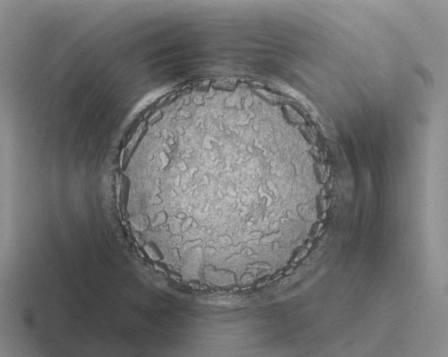 X0000116101314201001040944