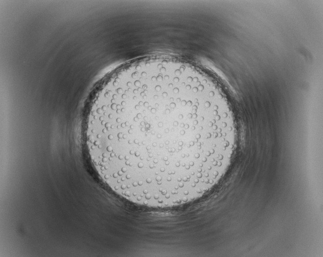 X0000116101315201001040944