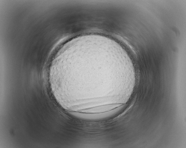 X0000116101317201001040944