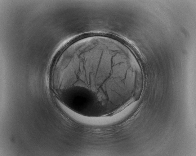 X0000116101319201001040944