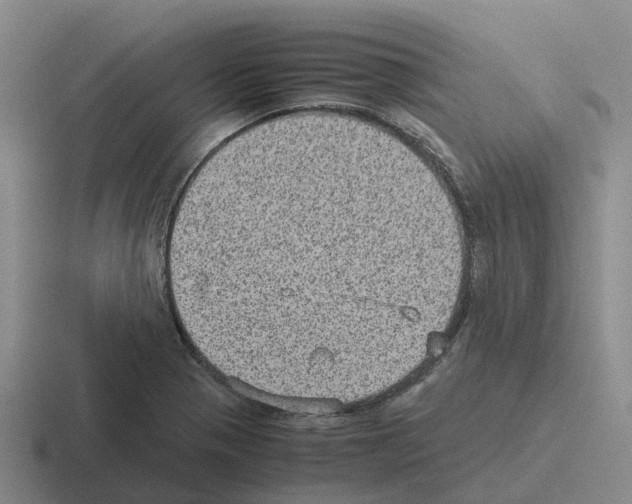 X0000116101321201001040944